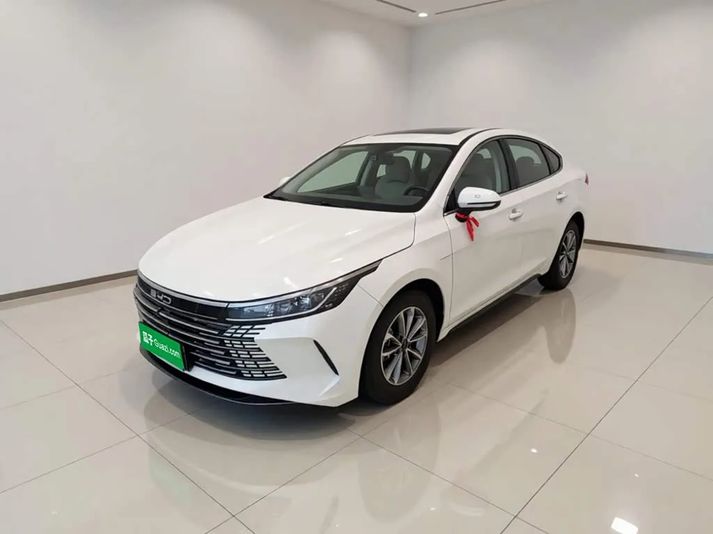 BYD Destroyer 05, 2024 — фото 1 из 1