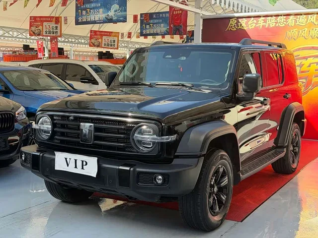 Great Wall 300, 2023 — фото автомобиля из Китая