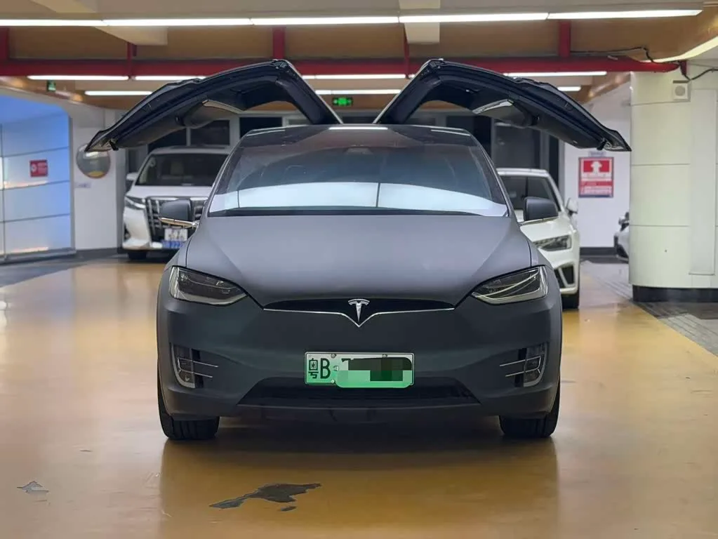 Tesla Model X, 2017 — фото 1 из 1