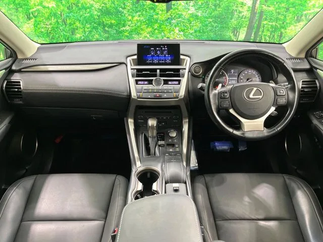 Lexus NX, 2016 — фото автомобиля из Японии